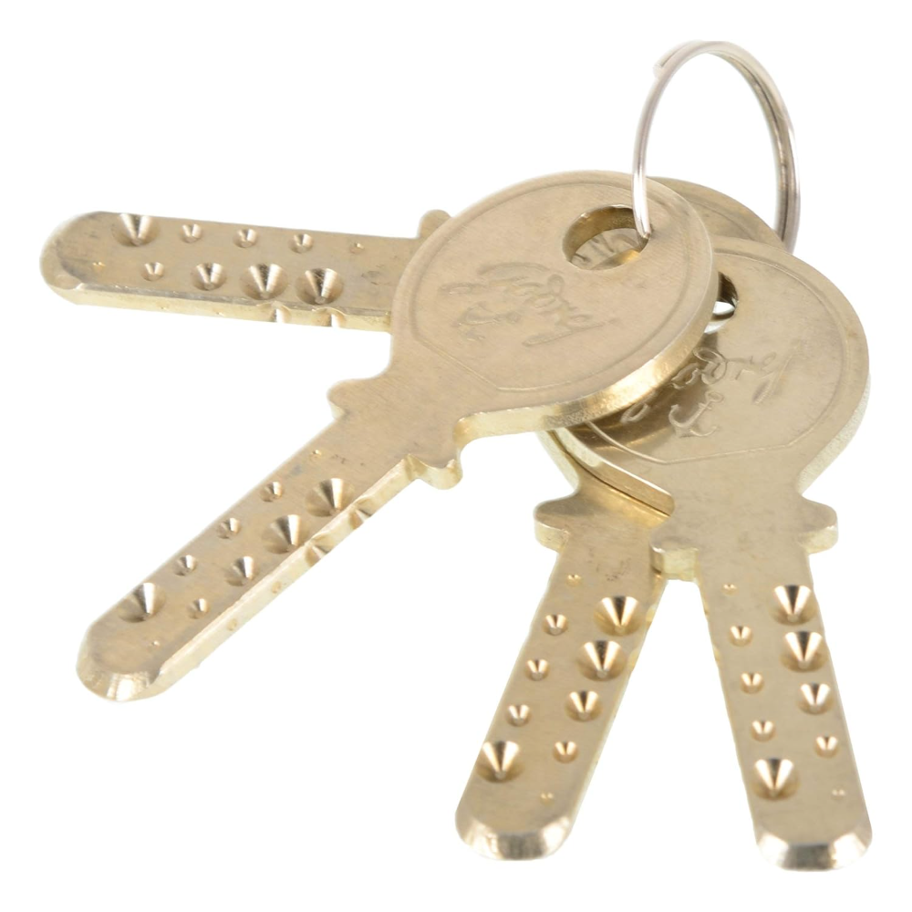 Godrej Rim Lock I Tribol 1 CK Latchbolt I For Home Main door I for Outside Opening Door  and LeftorRight Handed Doors I 4 Keys I 15 Year Warranty I Automatic Locking I Lacquer Finish